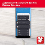 Sandisk -Ultra Dual Drive Luxe USB Type C (1TB, SDDDC4-1T00-G46)