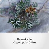 Sony E 15mm F/1.4 G Lens (SEL15F14G)