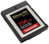 SanDisk Extreme PRO CFexpress Card Type B (256GB, SDCFE-256G-GN4NN) Sandisk