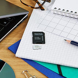 Sandisk MAX Endurance (128GB, SDSQQVR-128G-GN6IA) Sandisk